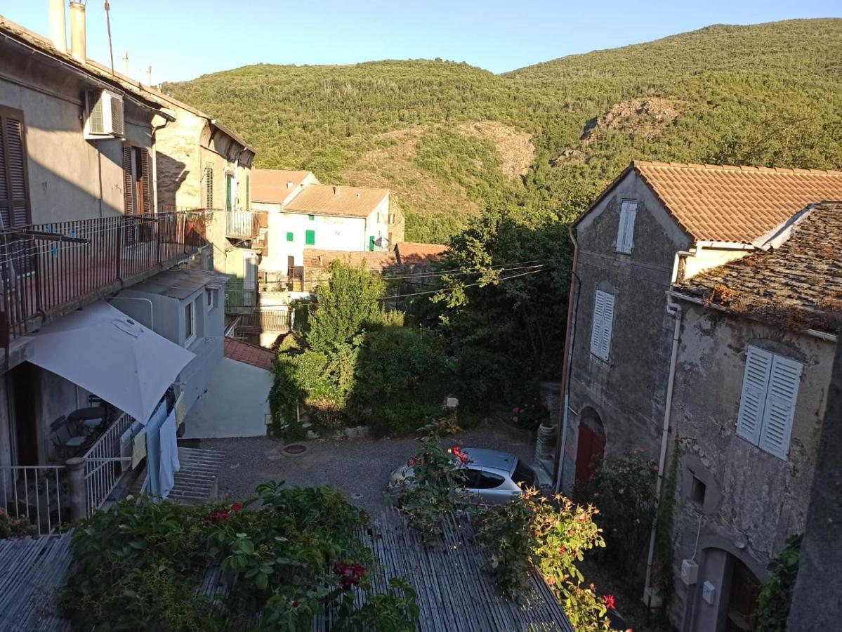 Apartamento Chez Laurette Murato Exterior foto